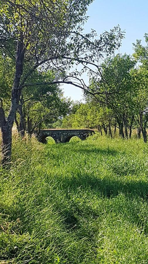 Camp The Sunrise Hill Pivka
